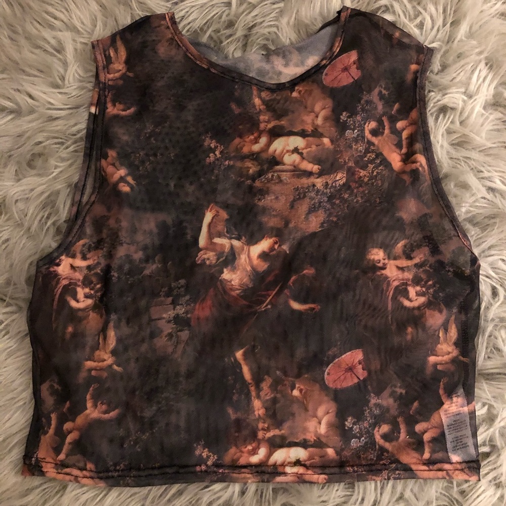 Renaissance Mesh Crop Top